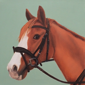 Dolly
40 x 40 cm
Ölfarbe auf Leinwand
Oil on canvas
2015