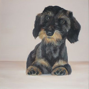 Lucky
40 x 40 cm
Oil on canvas
2010