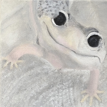 Gecko
Ölfarbe auf Leinwand
2021
30x30cm