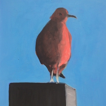 Möwe - Seagull
50 x 40 cm
Eitempera auf Leinwand
Egg tempera on canvas
2015