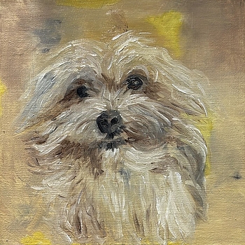 Rembrandt
Ölfarbe auf Leinwand
2026