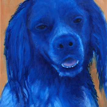 Portrait eines sehr schläfrigen Hundes
Portrait of a very sleep dog
36 x 23 cm 
Ölfarbe auf Butterbrotpapier
Oil on sandwich paper
2016