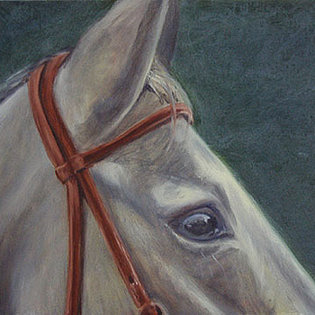 o. T. - untitled
50 x 60 cm
Ölfarbe und Lack auf Leinwand
Oil and varnish on canvas
2007