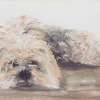 Rembrandt
2019