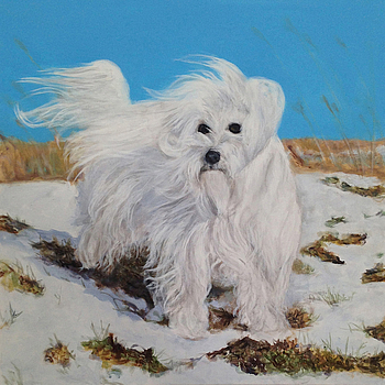 Fidi
50 x 50 cm
Oil on canvas
2013